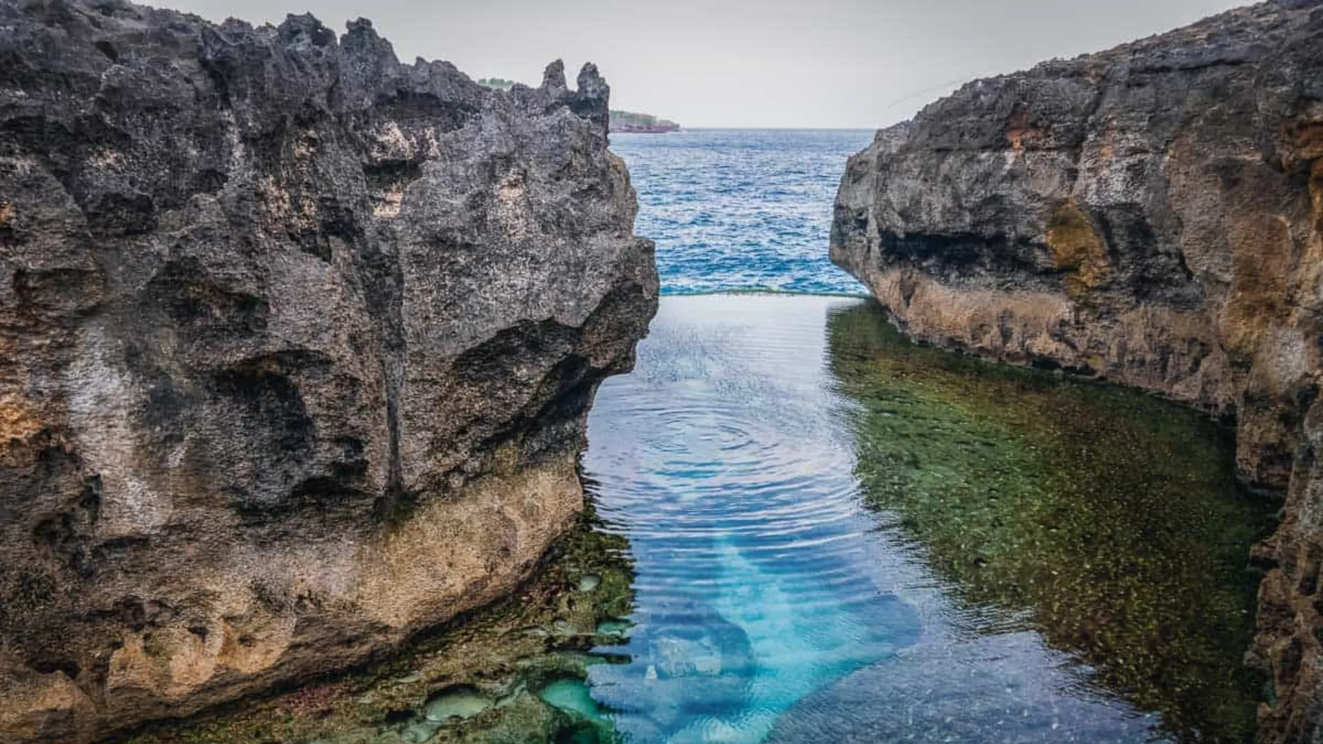 Angel Billabong Nusa Penida 1 Emerald green natural pool formed by rock formations at Angel Billabong Nusa Penida